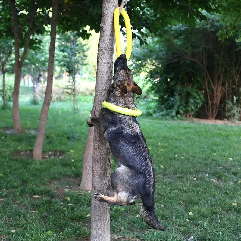 Petzozone™ Durable Dog Training & Play Tension Ring – EVA Material