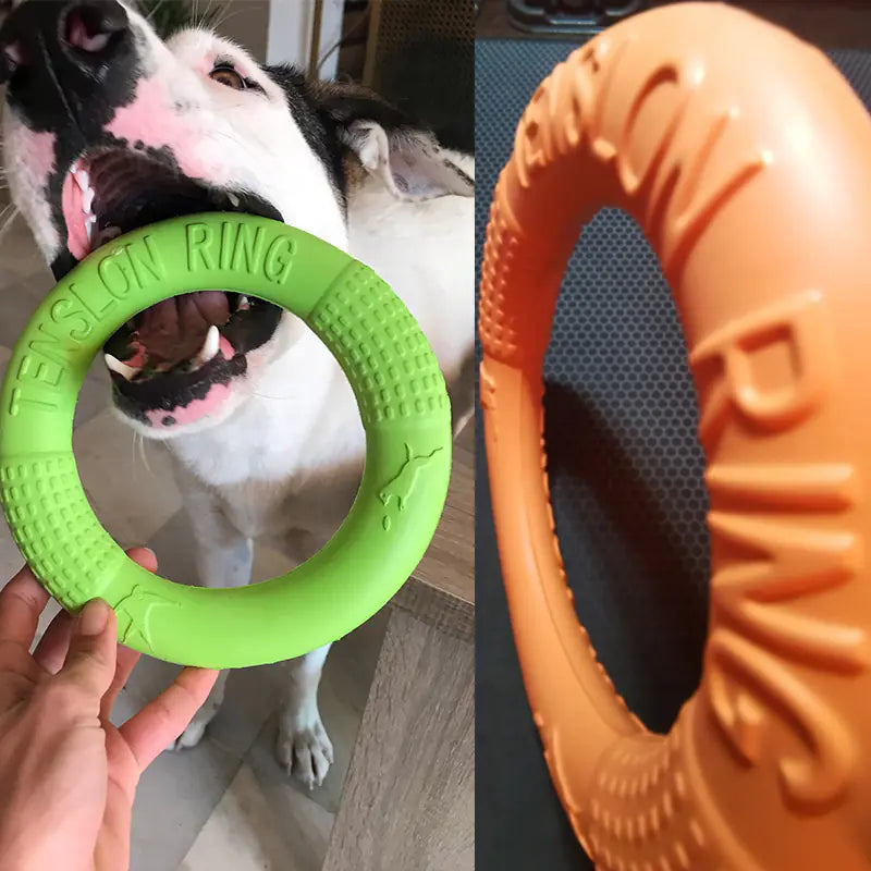Petzozone™ Durable Dog Training & Play Tension Ring – EVA Material