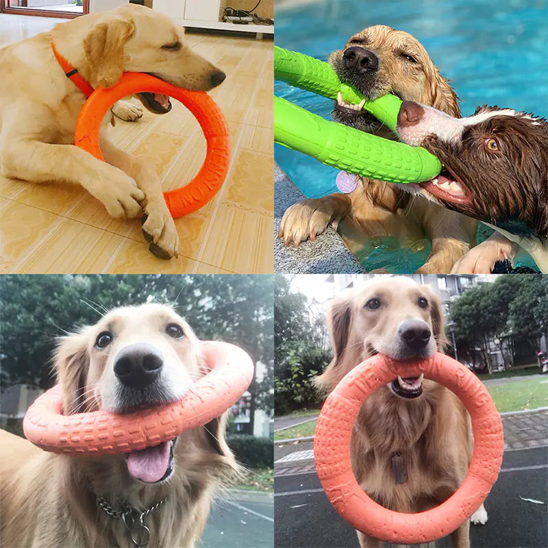 Petzozone™ Durable Dog Training & Play Tension Ring – EVA Material