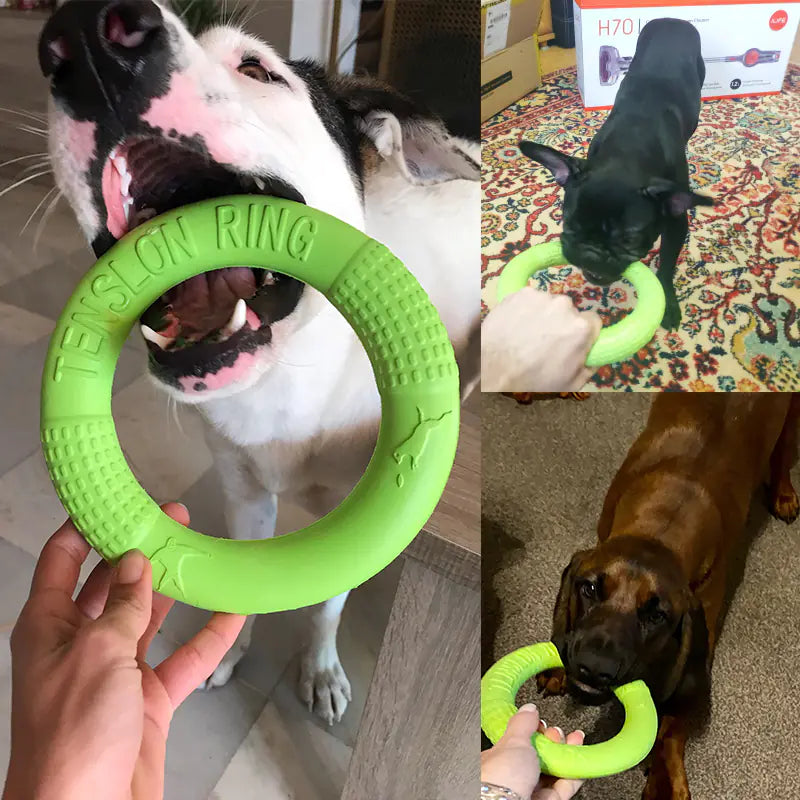 Petzozone™ Durable Dog Training & Play Tension Ring – EVA Material